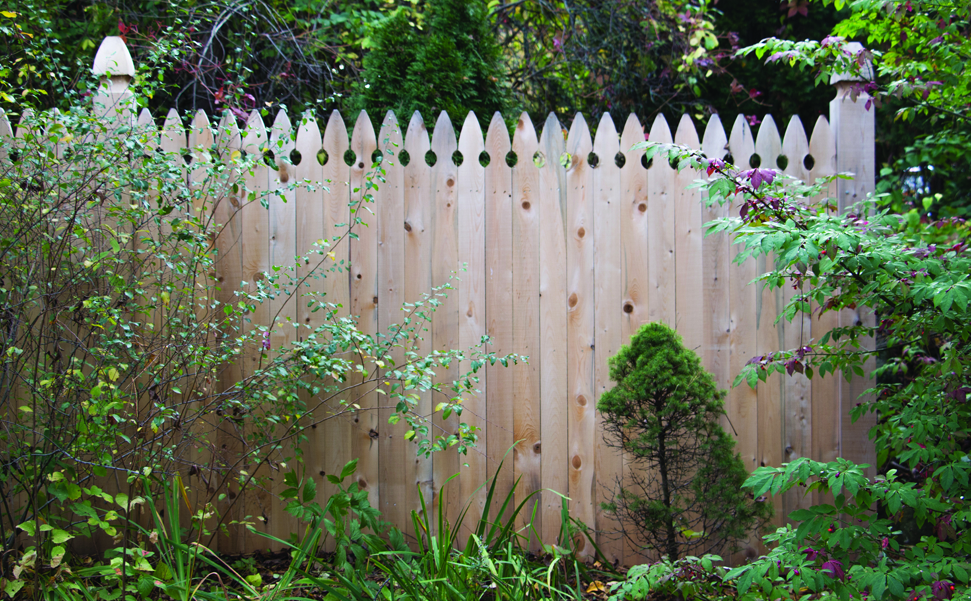 Paul & Jackie G., Manchester